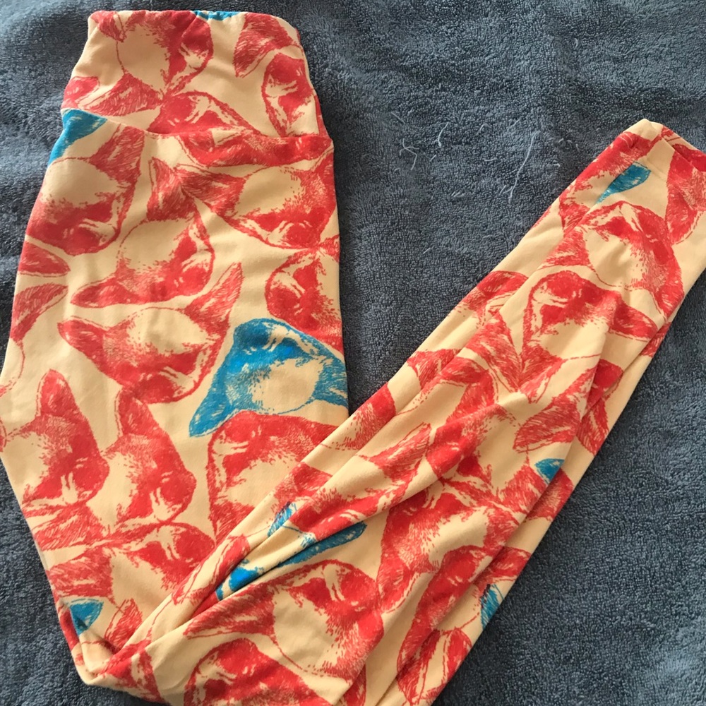 Chihuahua LuLaRoe leggings
